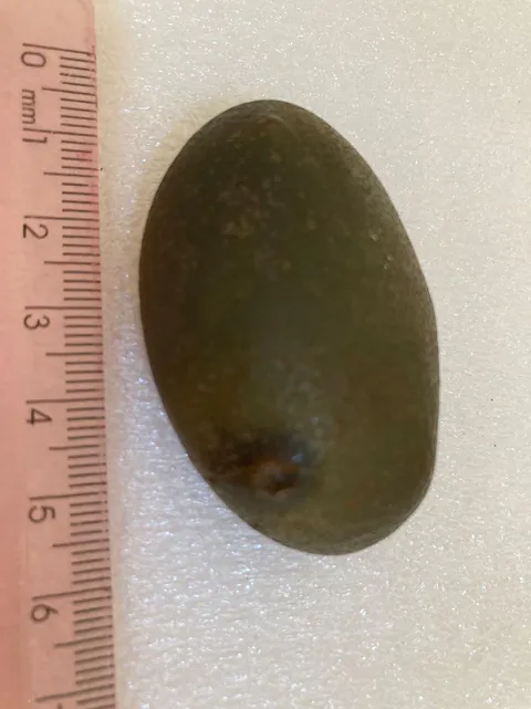 Material lítico. Comprimento:5cm. Largura: 3cm. Espessura: 1,6cm. Peso: 50g.
