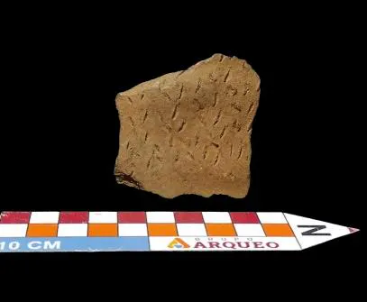 Nº do tombo: M.C.21. Largura:57cm. Comprimento: 5,7. Espessura:0,7cm. Peso: 13g.