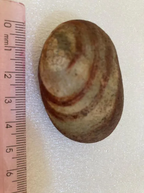 Material lítico. Comprimento: 5cm. Largura: 3cm. Espessura: 2cm. Peso: 64g.