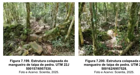 Panfleto, da equipe da Scientia Consultoria Científica.