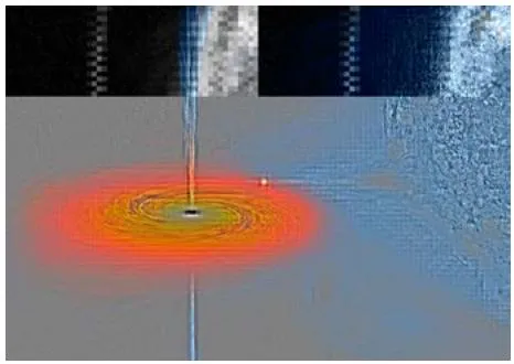 Figure 2: Black water Swan X-1