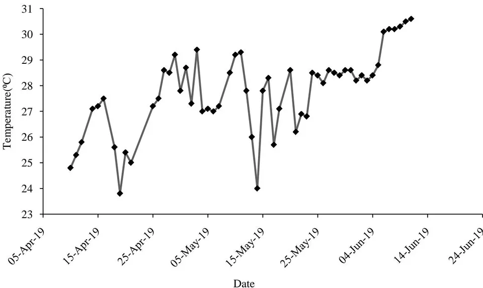 Figure 3: Temperature (°C) during the culture period