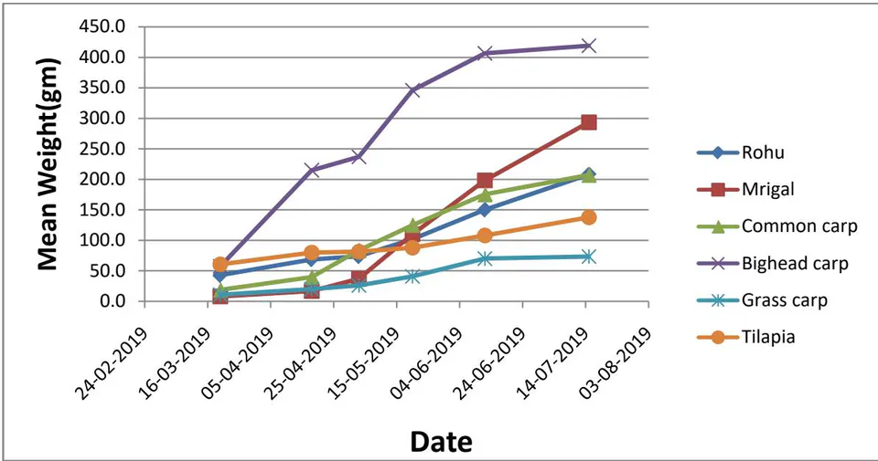 Figure 4: Growth trend of carps and nile tilapia during the culture period