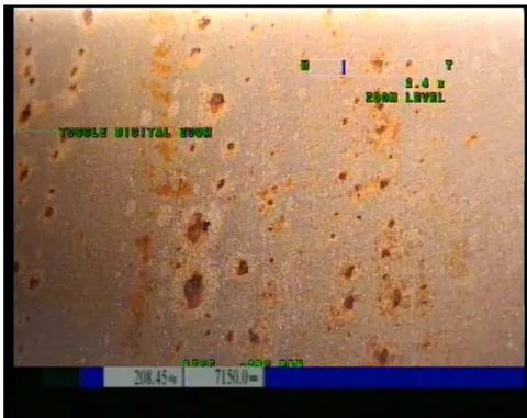 Figure 8: Discontinuities on the Inner Surface of the Reactor Pressure Vessel