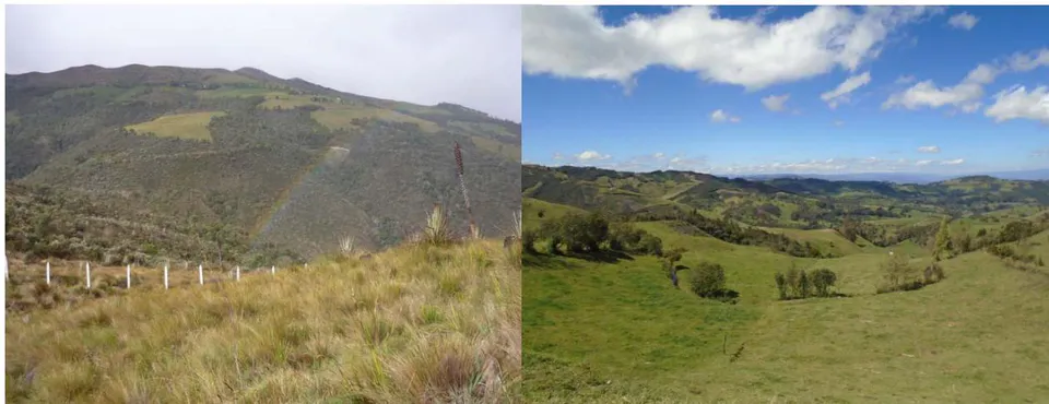 Figure 1: Panoramic views of the Tabacay micro-basin topography