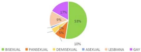 Figura 1: Tipos de Orientación Sexual