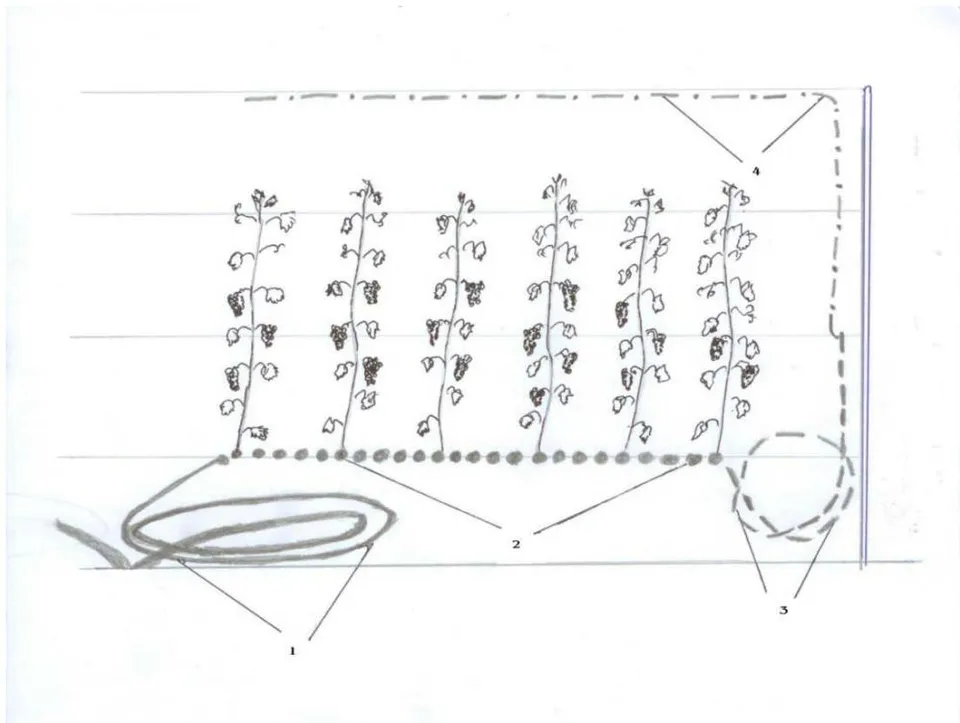 Figure 2: The second stage of formation of sleeves
