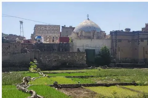 Figure 5: The Garden (Almqashamah) in the Old City (Author)