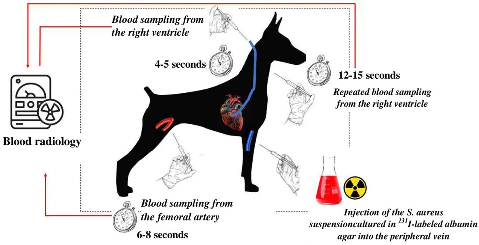 Figure 6: Graphical presentation of the fourth series of experiments (refer to the test for further clarification)