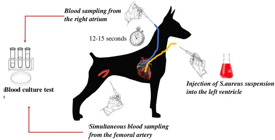 Figure 3: Graphical presentation of the first series of experiments (refer to the test for further clarification)