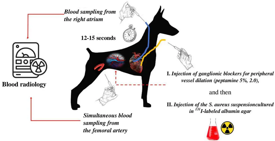 Figure 5: Graphical presentation of the third series of experiments (refer to the test for further clarification)