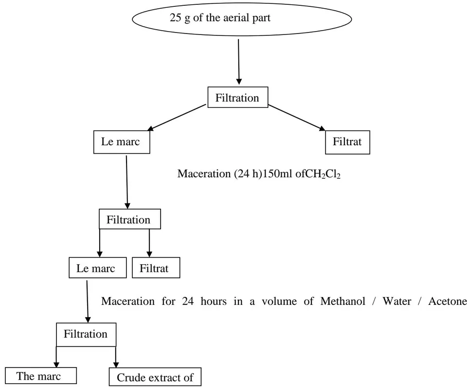 Figure 4: The crude extract of total polyphenols