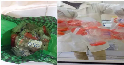 Figure 4: Improvised boxes used for sample transportation Figure 5: How the samples reaches the laboratory for testing