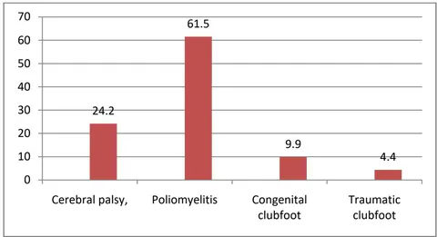 Figure 2: Disease classification (%)