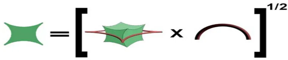 Figure 22: TSQ Driven Geometric mean concept of 'Temperature' (circle of the LHS of the figure) Figure 23: TSQ Driven Geometric mean concept of 'Time' (2D saddle of the LHS of the figure)