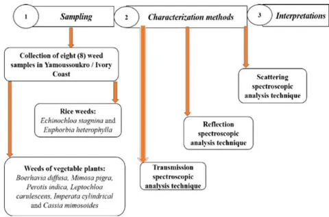 Figure 2: Methodological flowchart