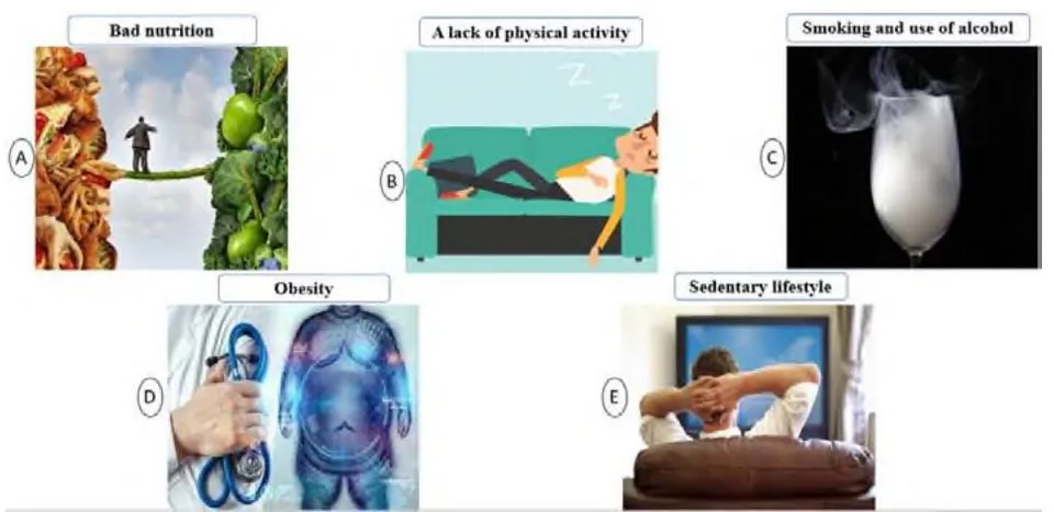 Figure 7: Factors of the Risk of Cardiovascular Disease and Hypertension (A&B [24], D [23] E [24], C [25])