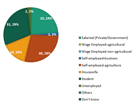 Occupational Background of Respondents