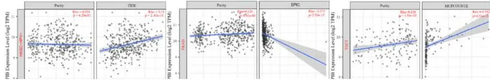Figure 4: Analysis of PPIB in immune microenvironment.