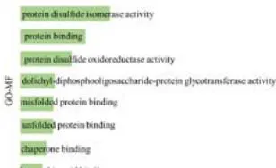 Figure 5: Analysis of molecular mechanism of PPIB in tumorigenesis.