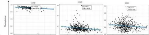 Figure 3: Genetic variation analysis of PPIB in tumors.