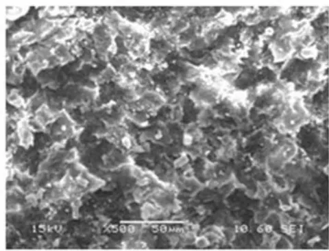 Fig. 3: SEM images of the surface of the anodized alloy before and after modification with ethylene glycol