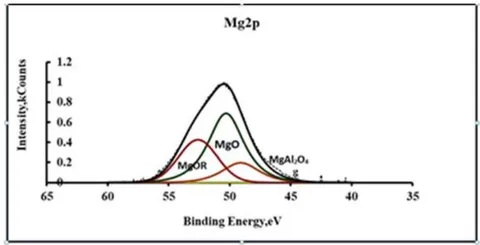 Fig. 4: XPS spectra of Mg2p in a modified inversion coating