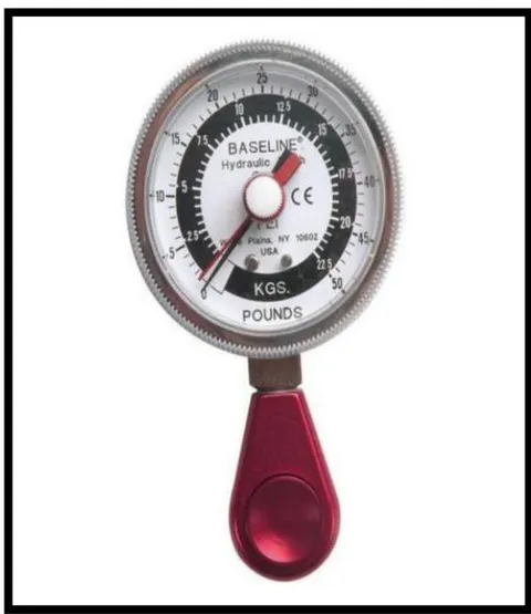 Figure 2: Pinch Meter