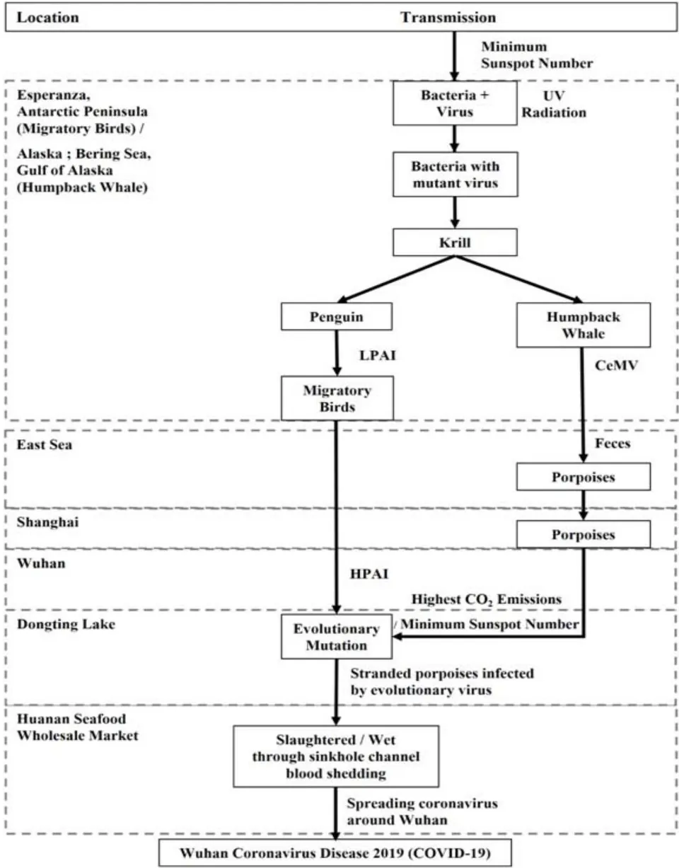 Figure 21: Transmission route of evolutionary virus between avian influenza virus and cetacean morbillivirus under the highest
CO_{2} emissions and the minimum sunspot number with strong UV radiation for mutant of Wuhan Coronavirus Disease 2019 (COVID-19).