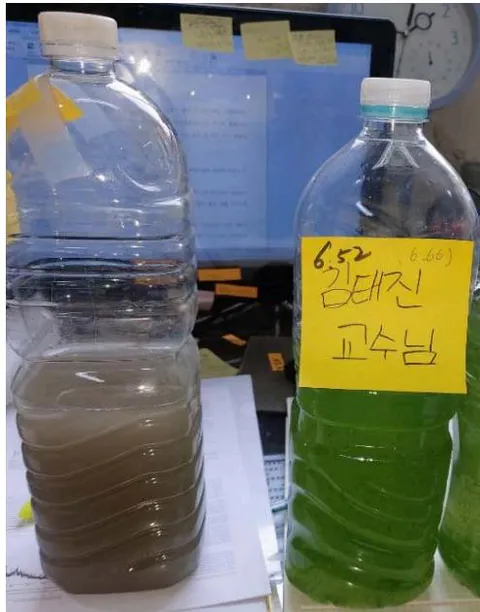 Figure 8: After treatment without growth of HAB (Left) and before treatment with growth of HAB (Right) of
H_{2}S bubbling