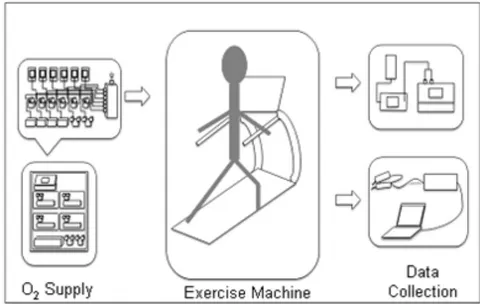Figure 12: Overall set-up of experimental system with
O_{2} supply, exhaled O_{2}/CO_{2} measurement