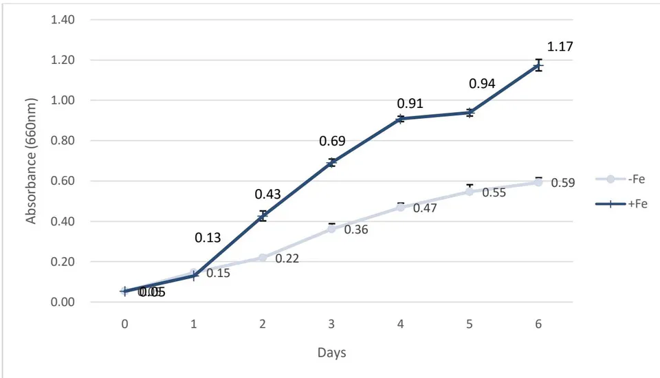 Figure 6: Growth curve of Chlorella vulgaris with various JM media; with its own Fe (+Fe, -+-), without its own Fe (Fe, -●-) (Modified from KIM, 2019)