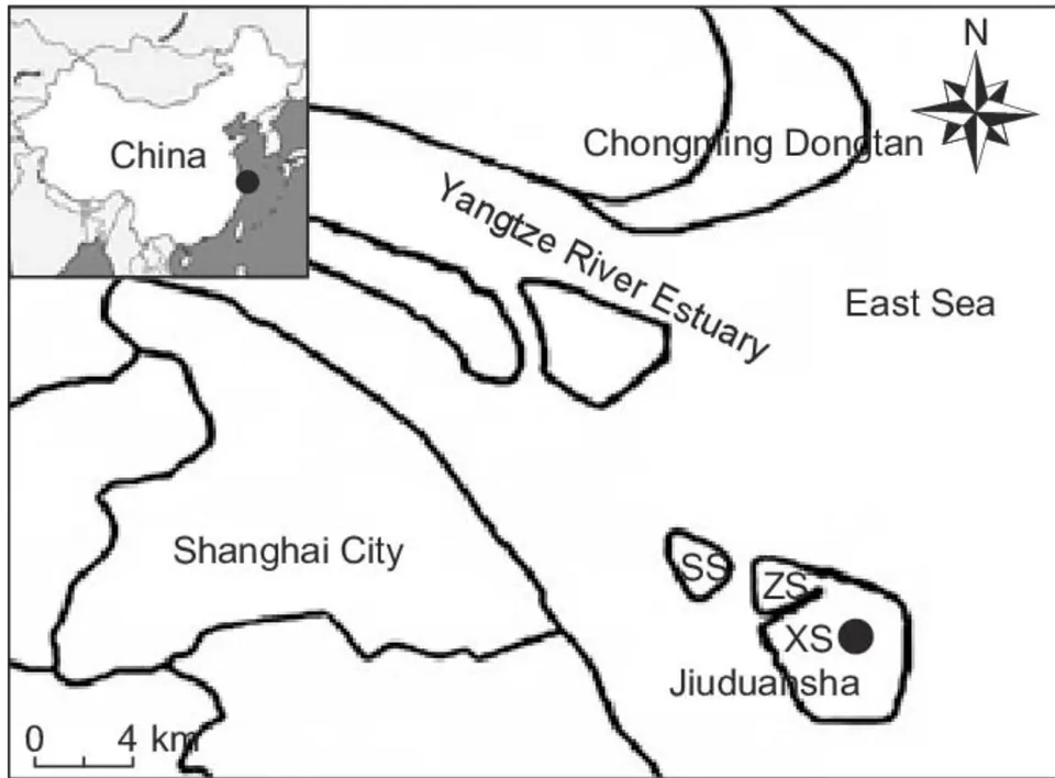 Figure 9: Location of the Jiuduansha wetland comprised of the Shanghai (LI et al., 2011).