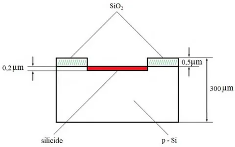 Figure 1: Cross Section of Nickel Silicon-Silicide NiSi - Si Structure