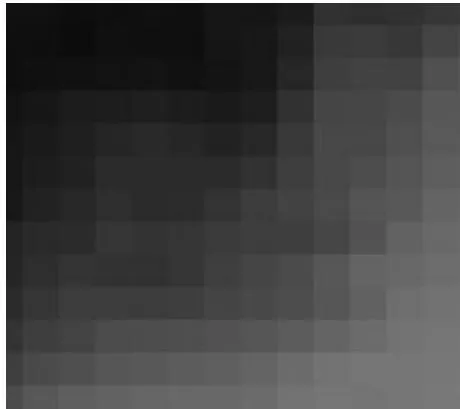 Fig -3: Gray Scale Image
