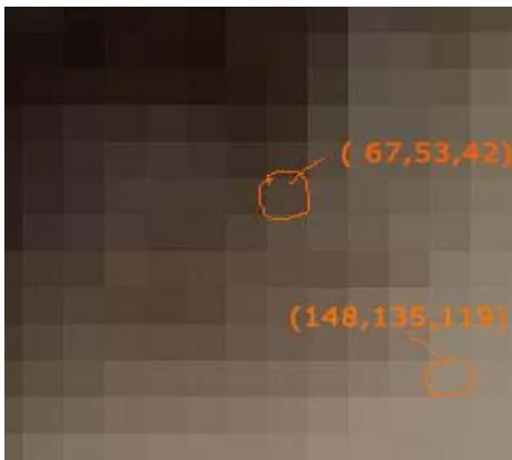 Fig -2: Zoomed image with RGB value