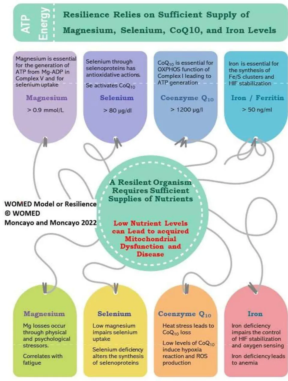 Figure 13: The 2022 WOMED concept of resilience and health based on essential biochemical parameters.