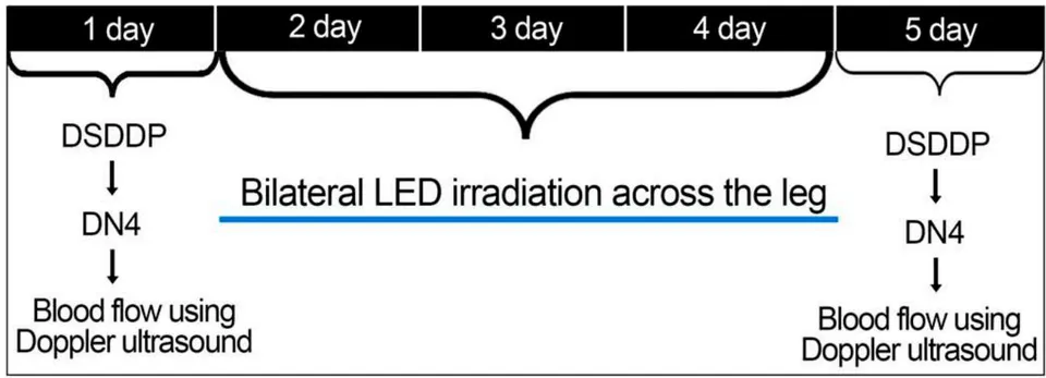 Figure 2: Description of the evaluation, intervention and reassessment during the proposed 5 days.