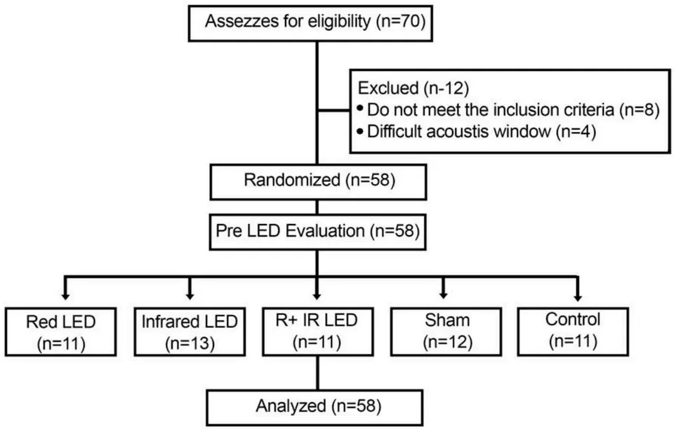 Fig. 1: Flowchart of the study design