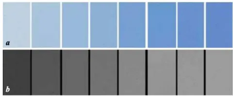 Figure 4: Images of film strips exposed in different absorbed dose values. Images after exposition (a) and images of the red channel after processing (b).