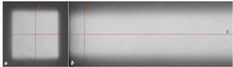 Figure 5: Irradiated radiochromic film sheets placed into the water phantom. color (a) and red channel images (b)