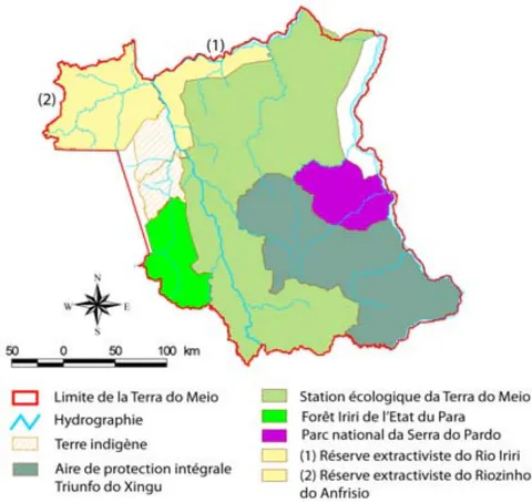 Figura 8: Mosaico da Terra do Meio como foi implementado Fonte: Taravella (2008, p.457).