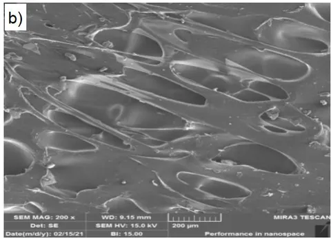 Figure 12: Fracture surfaces of the single lap shear specimens fabricated at rolling speed of: a) 25 rpm and b) 45 rpm