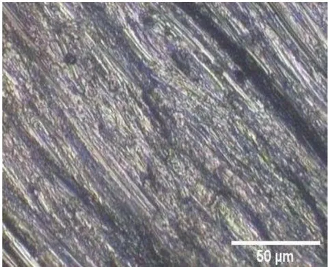 Figure 2: The optical micrograph of the roughened surface