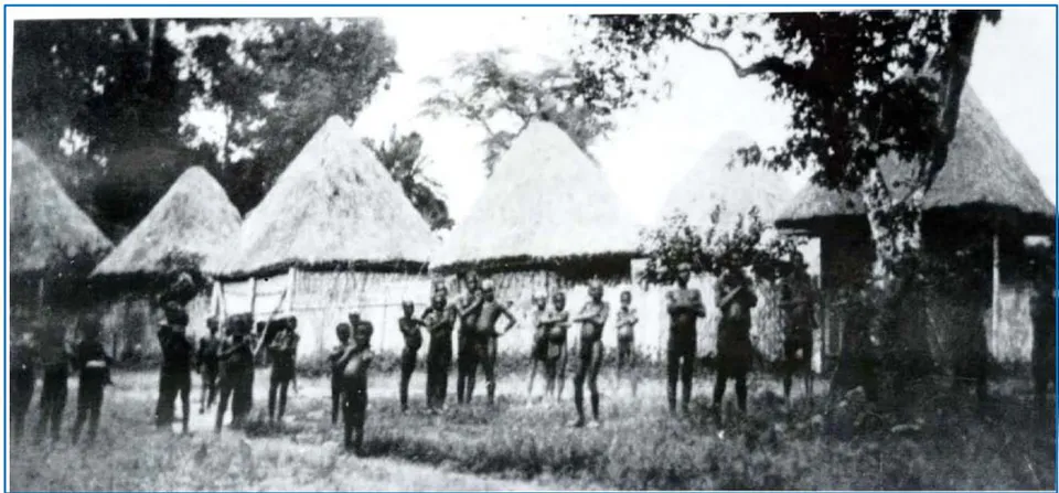 Fig. 6: The Bafut Palace in 1889