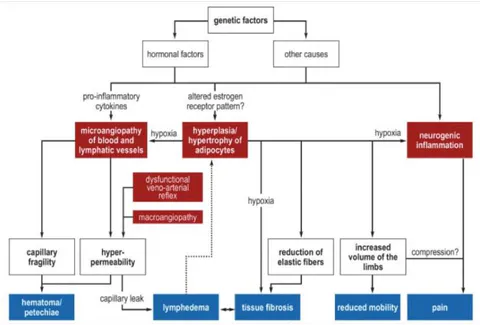 Figure 01: Flowchart illustrating the pathogenesis of lipedema