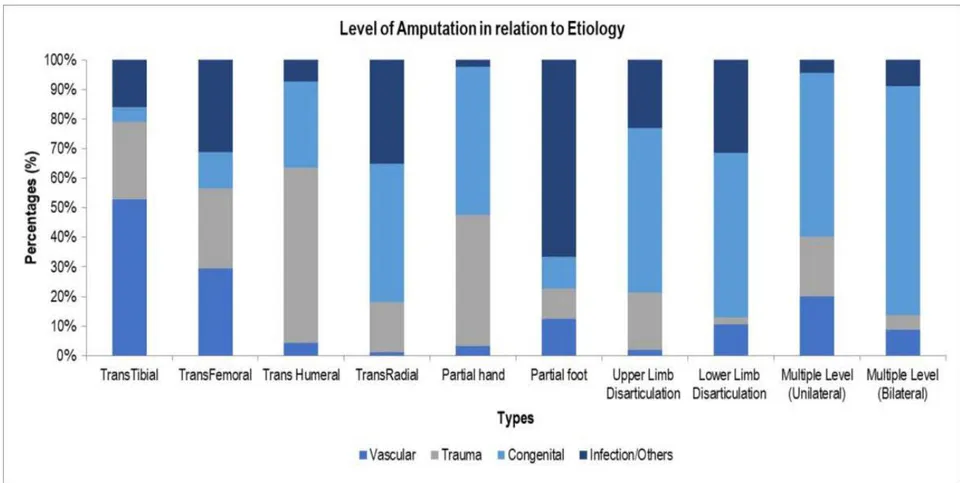 Figure 1: Level of amputation according to etiology.