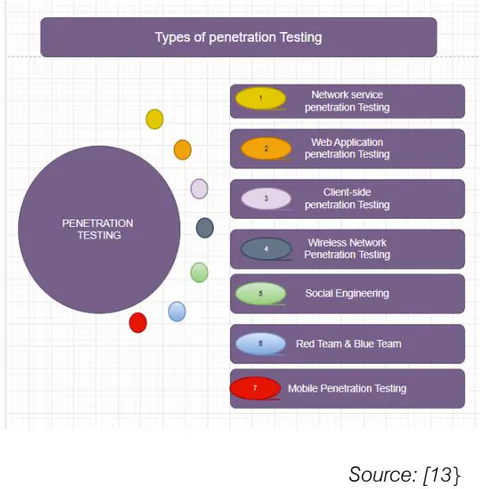 Figure 2: Penetration Testing