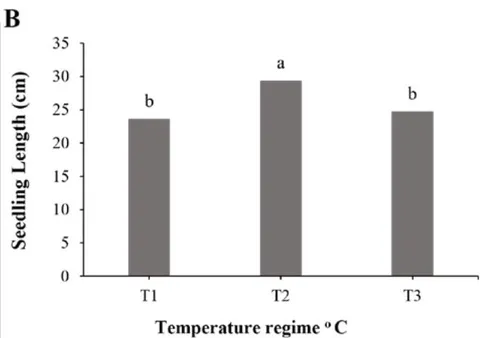 Figure 2: Dry Mass (A) and Seedling Length (B) of Sorghum Subjected to Different Temperature Regimes.