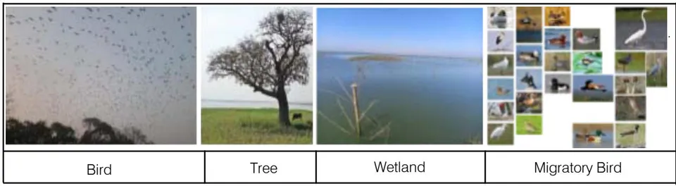 Figure 04: Elements of Interpretation of Haor